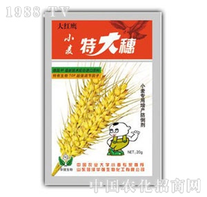 ���A��-С���ش���