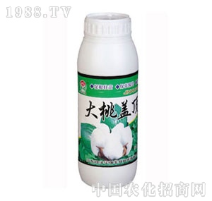 ���A��-�����w�