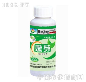 ���A��(qi��ng)-��ѿ��ѿ���L(zh��ng)��