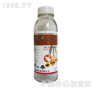 ِ��-ʮ��һ��