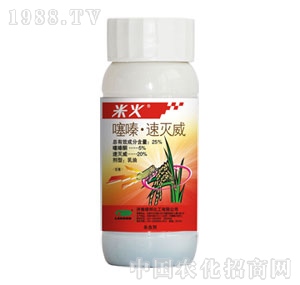 �G���-�׻�