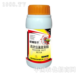 ̩�Z-�����رM