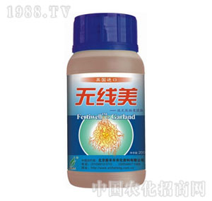 �º��S-�o����