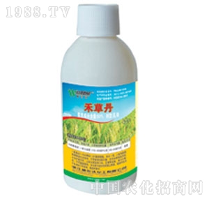 �����_-�̲ݵ�