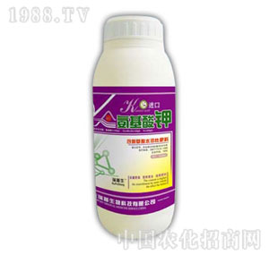 ������-�������