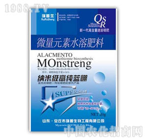 ������-�{�׼��߼��{��