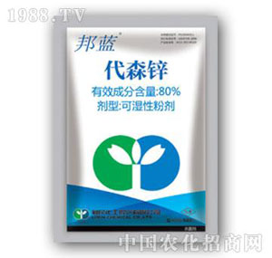 ����-80%��ɭ�\�ɝ��