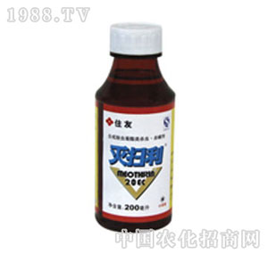 �����_-20%�����