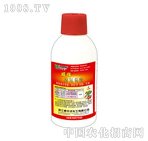 �����_-����