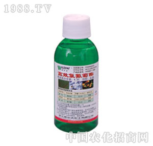 �����_-4.5%�������