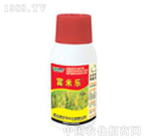 �����_-���ט�