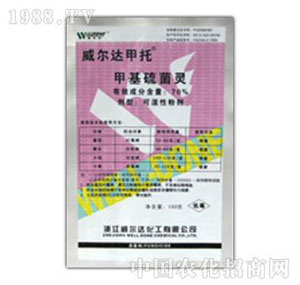 �����_-����