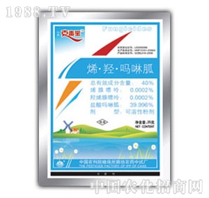 �б�-�˶���