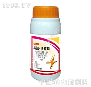 ̩�Z-�R��������