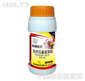 ̩�Z-�����رM