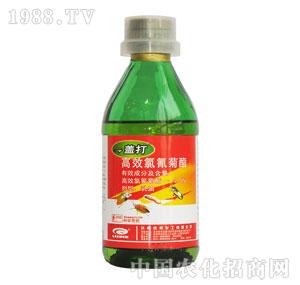 �G���-һ�w��