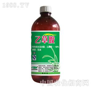 �G���-�Ҳݰ�