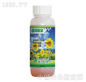 �G���-�G���Ц