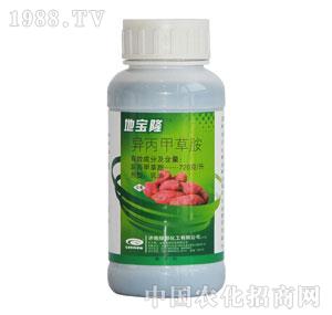 �G���-�،�¡�����ײݰ�