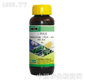 �G���-ʩ���z