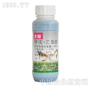 �G���-���z�����Ҳݰ�