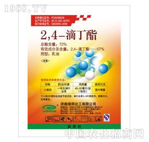 �G���-2��4-�ζ���