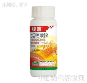 �G���-Ĥɷ