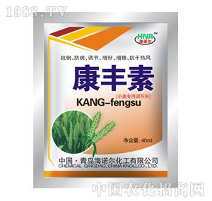 ���Z��-���S�أ�С����(zhu��n)�ã�