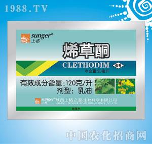 �ϸ�֮·-ϩ��ͪ��120��ϩ��ͪ���ͣ�