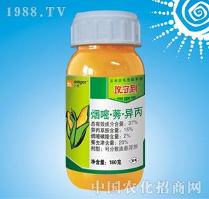 �ϸ�֮·-���ص���37%������ݬ�͑Ҹ�����