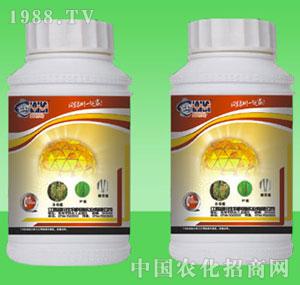 �G������-30%�����`����