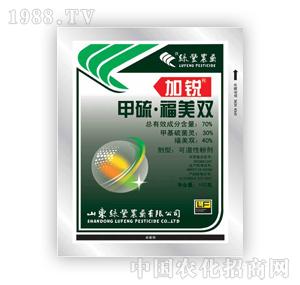 �G�S�r(n��ng)ˎ-���J