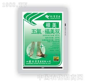 �G�S�rˎ-����