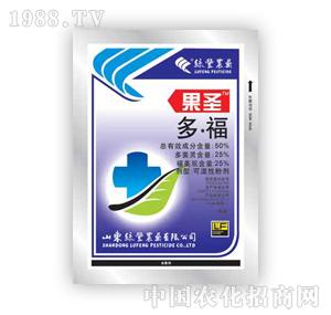 �G�S�rˎ-��ʥ