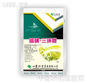 �G�S�rˎ-������h(hu��n)��