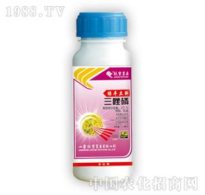 �G�S�rˎ-�G�S���أ������ף�