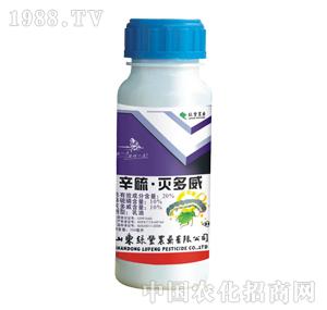 �G�S�rˎ-��������