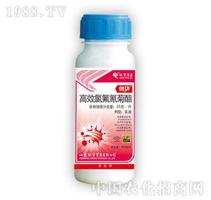 �G�S�rˎ-��(chu��ng)��