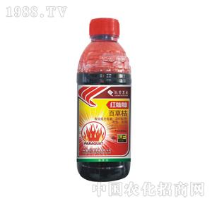 �G�S�rˎ-�t�N�N