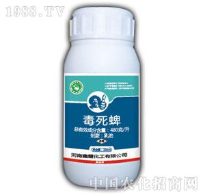 ��¶-������