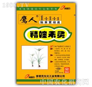 ���ʿ�-��୺��`(������ã�