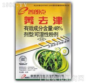 ���ʿ�-ݬȥ��