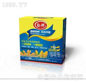 ���ʿ�-�������׌��ð�N��