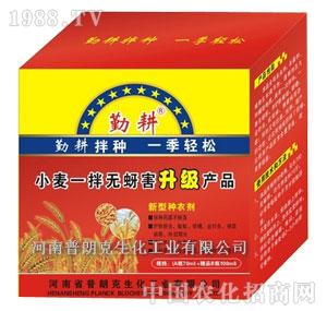 ���ʿ�-С��һ��o������N��