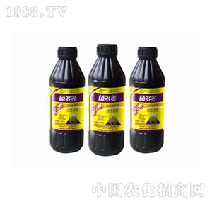 ����-�����