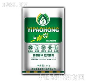 ����-һ���Z�ͺ�΢�������