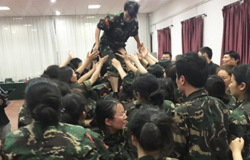 單槍匹馬難跨越，百人抱團筑長城！